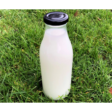 500ml Glass Milk Bottles with RTO cap